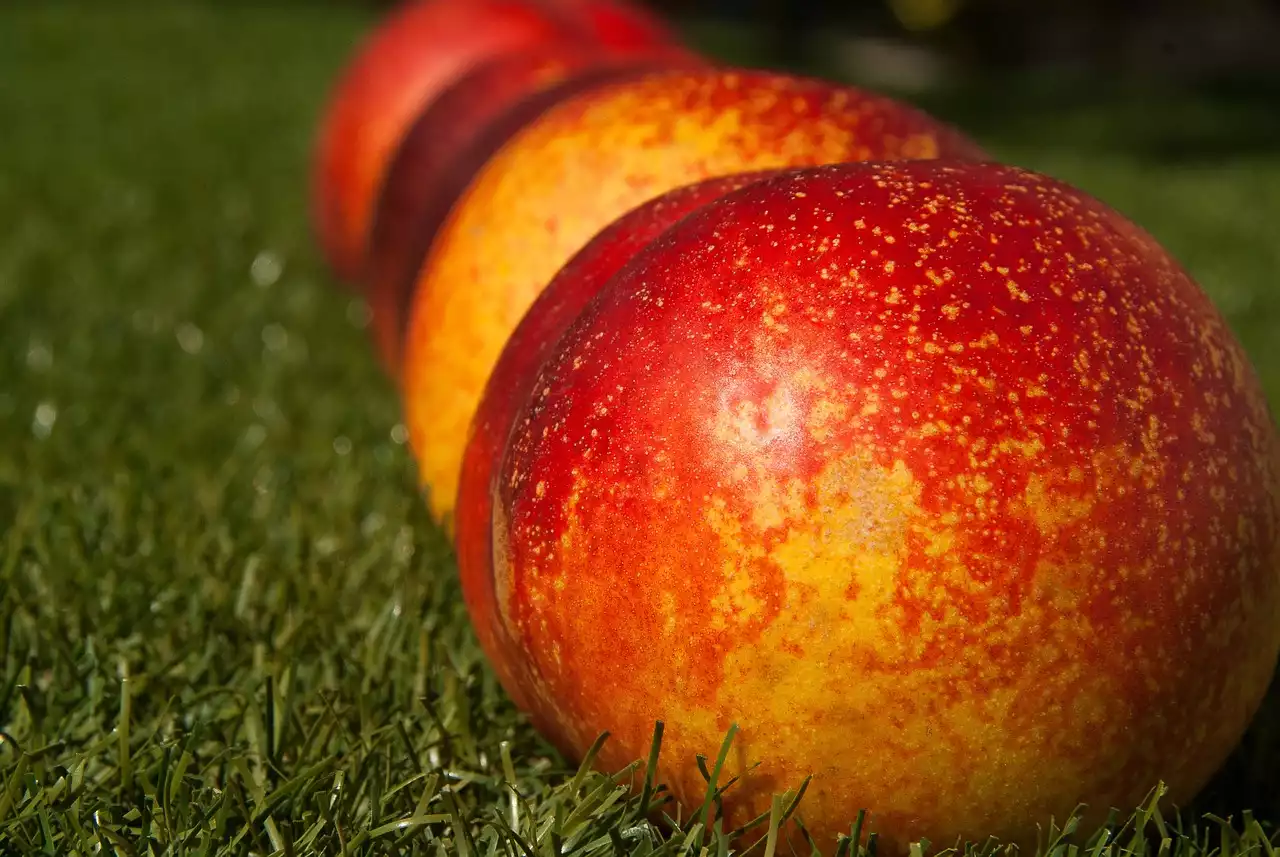 Blanchierungstechniken für Früchte: So bereiten Sie Pfirsiche, Tomaten und mehr zu